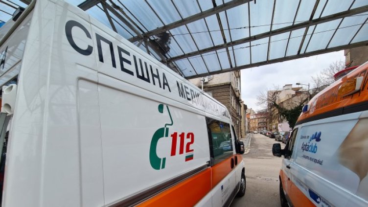 Снимка: БГНЕС