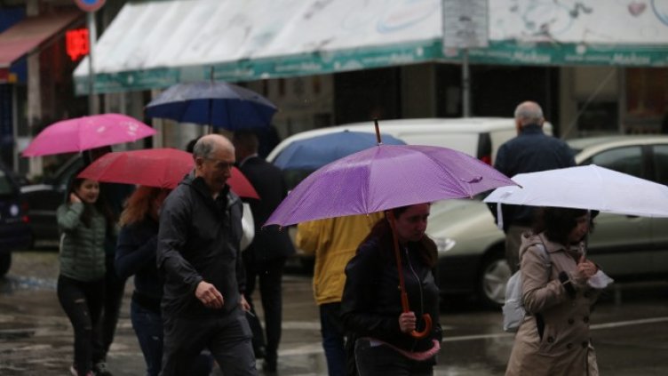 Снимка: архив, БГНЕС