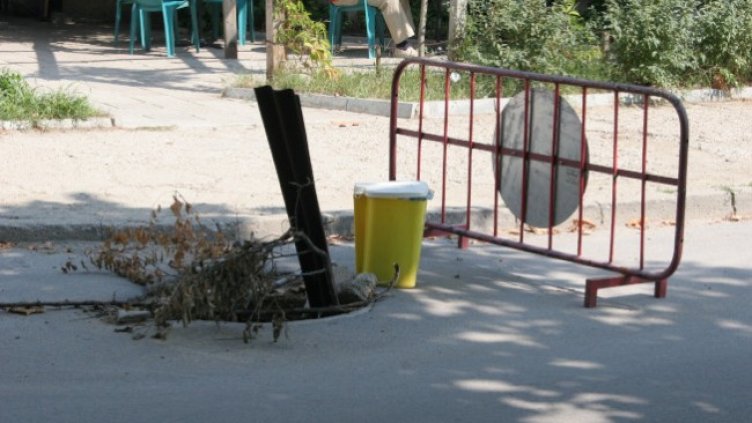 Снимка: БГНЕС