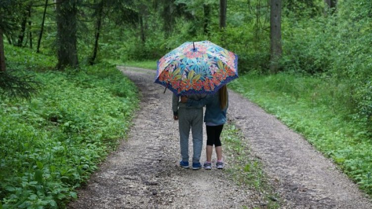 Снимка: Pixabay