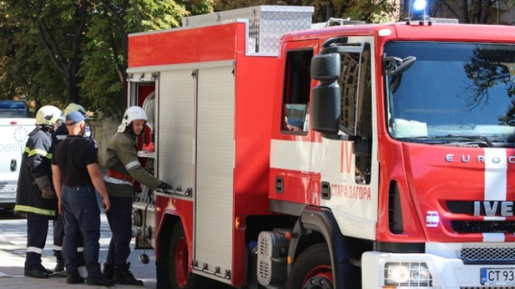 Снимка: БГНЕС