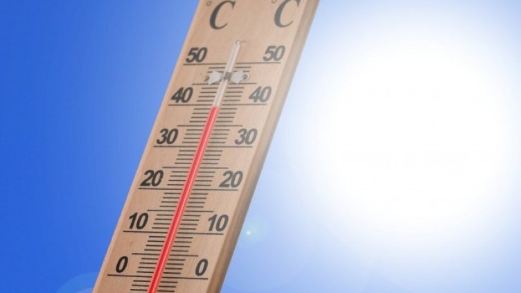 Снимка: Pixabay