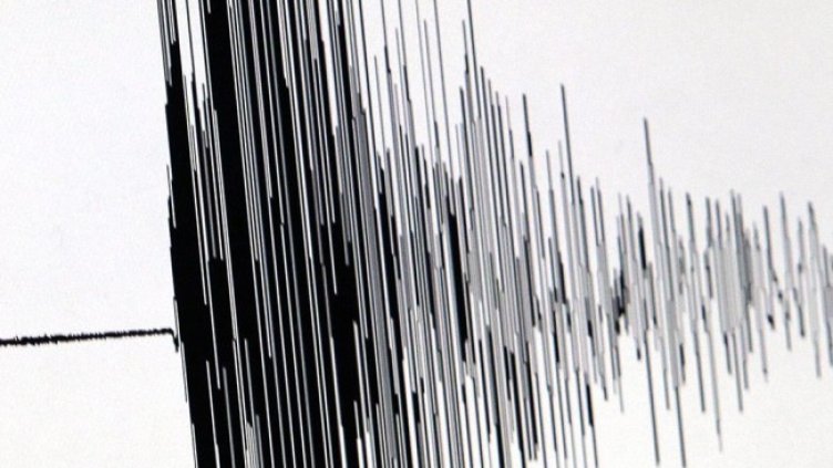 Снимка: архив, БГНЕС