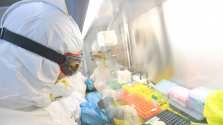 Снимка: БГНЕС