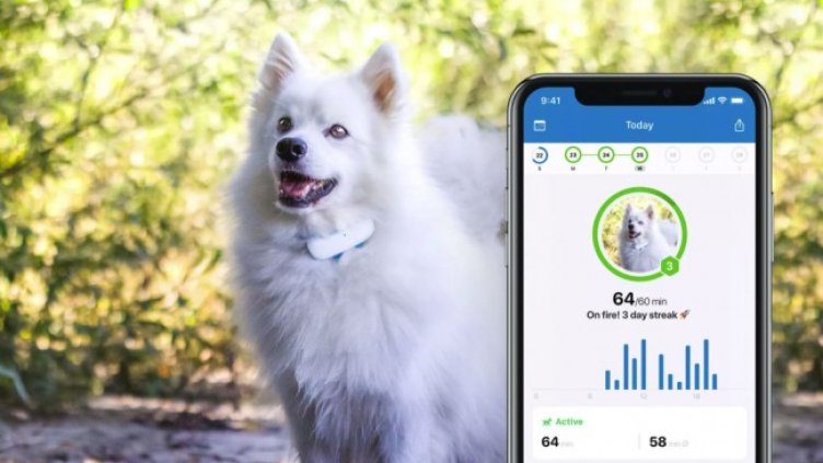 Снимка: Bloomberg LP