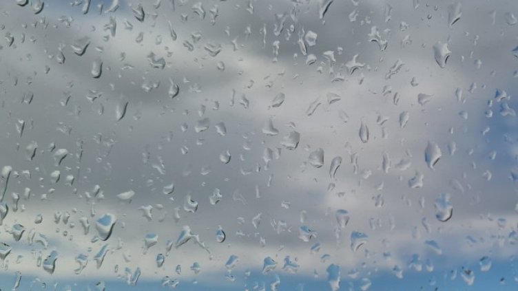 Снимка: архив, БГНЕС