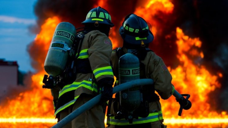 Снимка: Pixabay