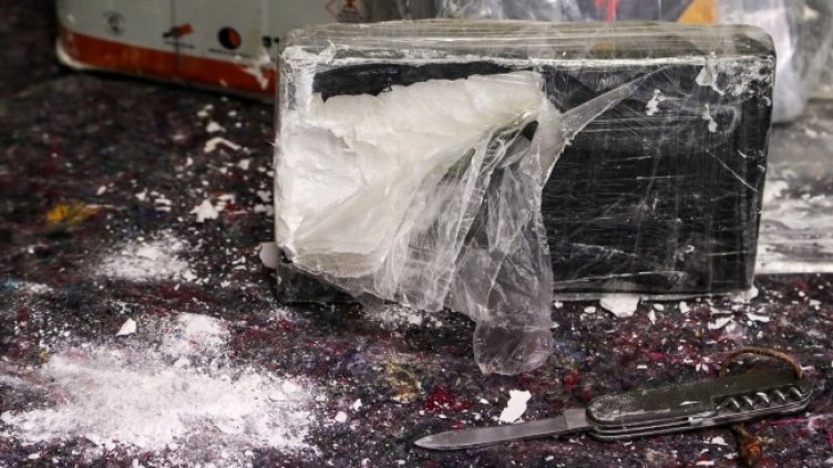 Снимка: архив, БГНЕС