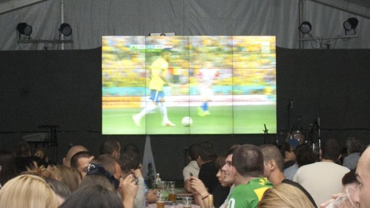 Снимка: архив, БГНЕС