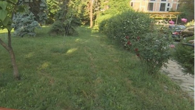 Снимка: Кадър, bTV