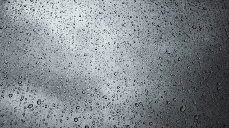 Снимка: Pixabay