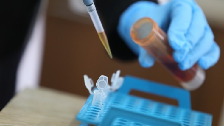 Снимка: БГНЕС