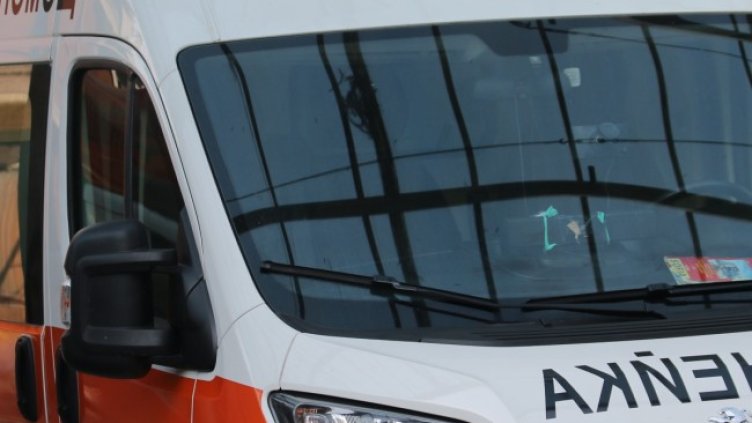 Снимка: архив, БГНЕС