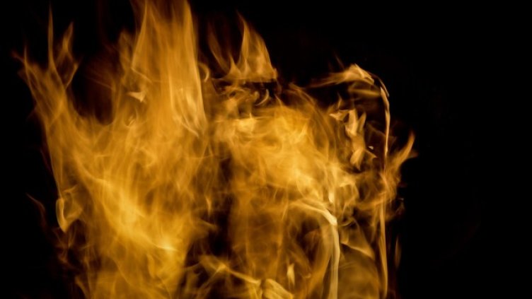 Снимка: Pixabay