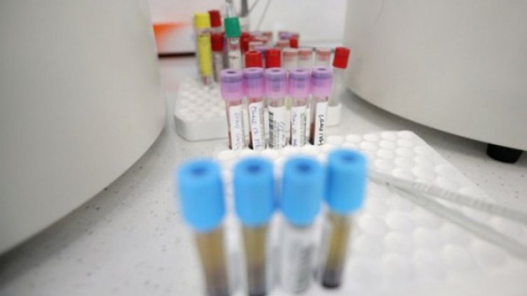 Снимка: Димитър Кьосемарлиев