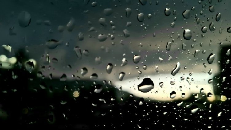 Снимка: Pixabay