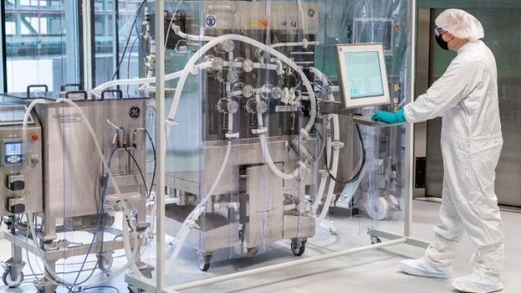 Снимка: архив, БГНЕС