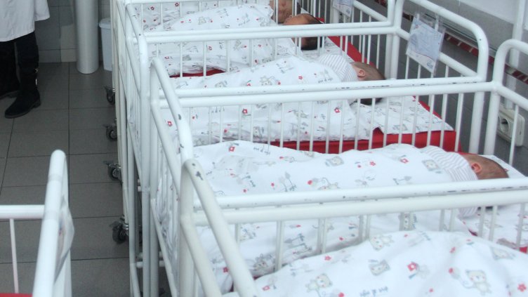 Снимка: архив, БГНЕС