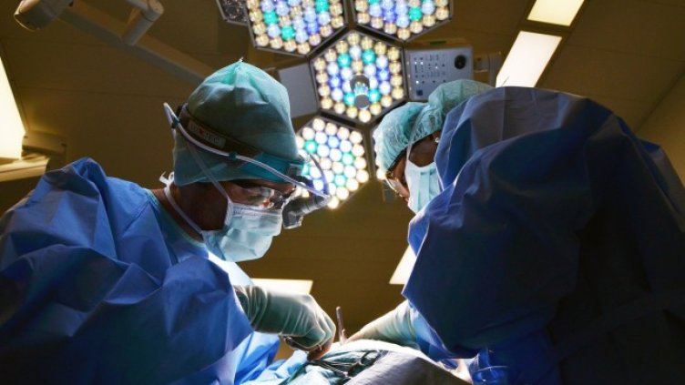 Снимка: Pixabay