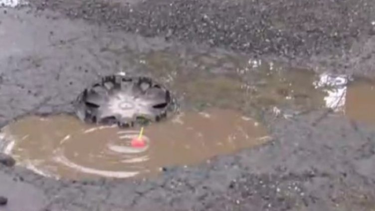 Снимка: Кадър, БНТ