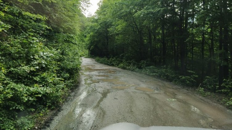 Снимка: Helpbook