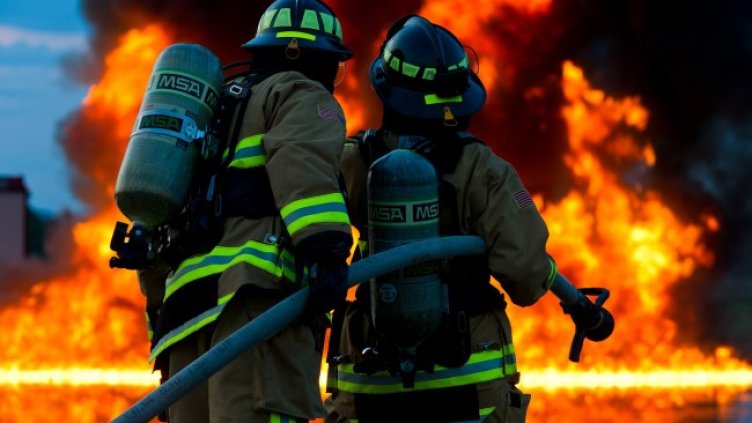 Снимка: Pixabay