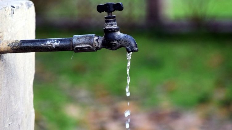 Снимка: Pixabay