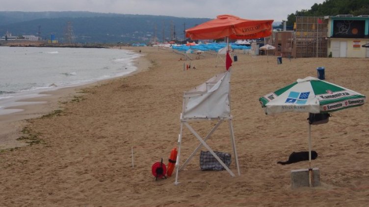 Снимка: БГНЕС