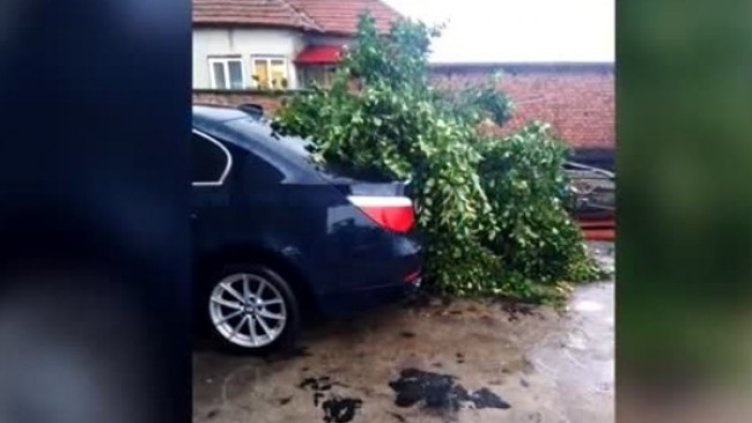 Снимка: Bulgaria ON AIR