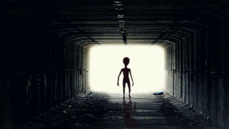 Снимка: Pixabay