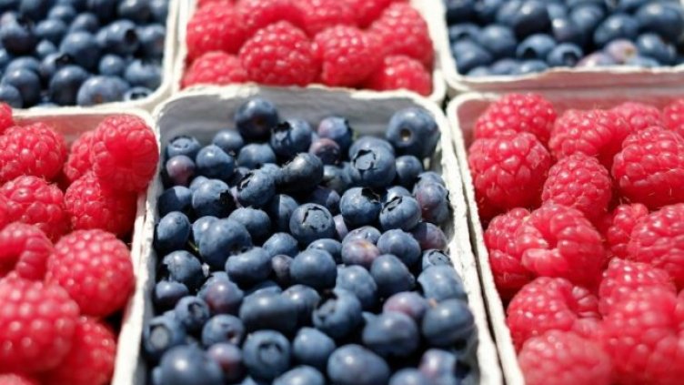 Снимка: Pixabay