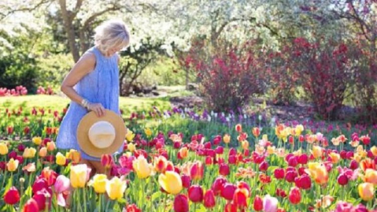 Снимка: Pexels