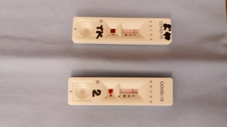 Снимка: архив, БГНЕС