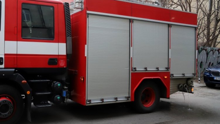 Снимка: БГНЕС