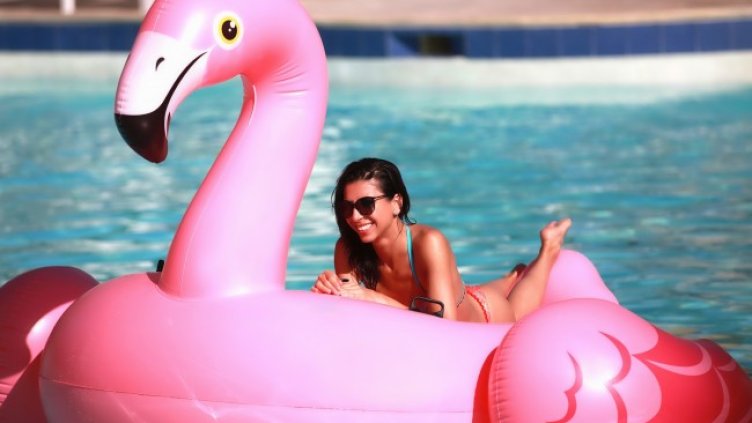 Снимка: Pixabay