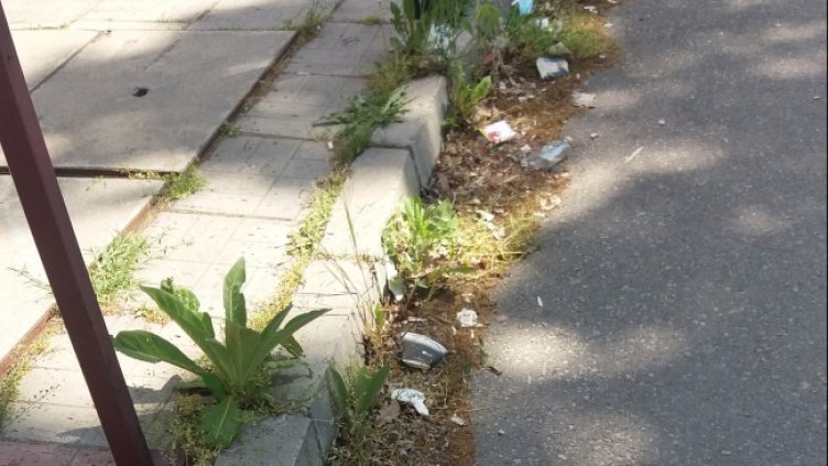 Снимка: Helpbook