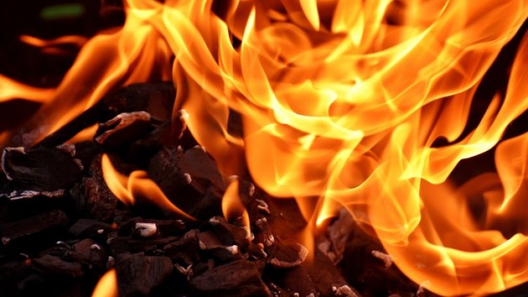 Снимка: Pixabay