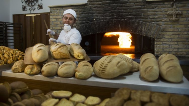 Снимка: архив, БГНЕС