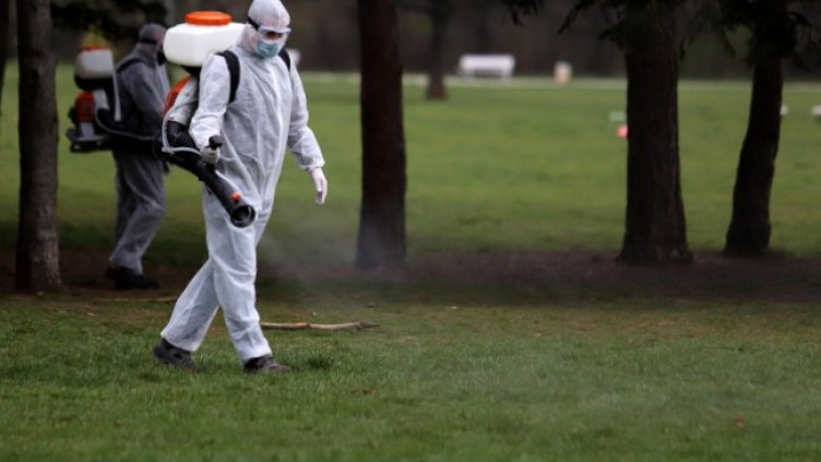 Снимка: БГНЕС