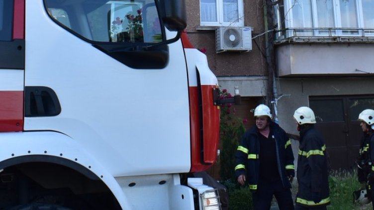 Снимка: БГНЕС