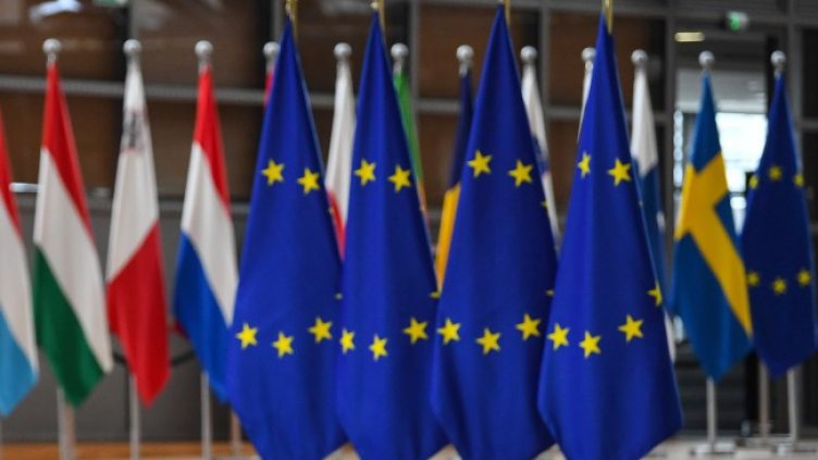 Снимка: архив, БГНЕС