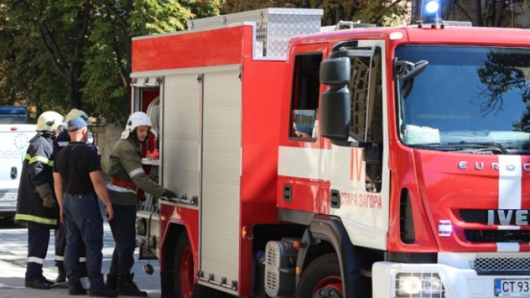 Снимка: БГНЕС