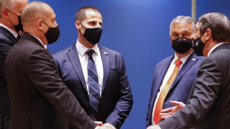 Снимка: БГНЕС