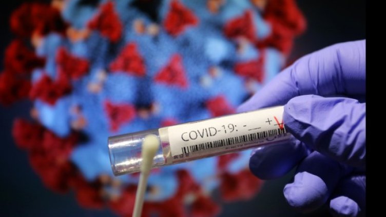 Снимка: архив, БГНЕС