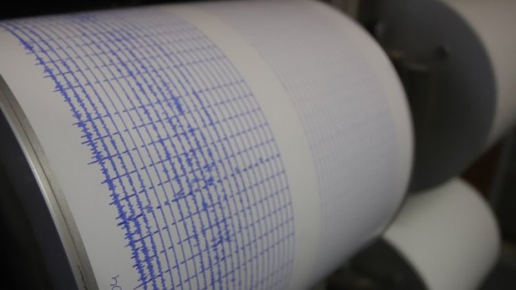 Снимка: архив, БГНЕС