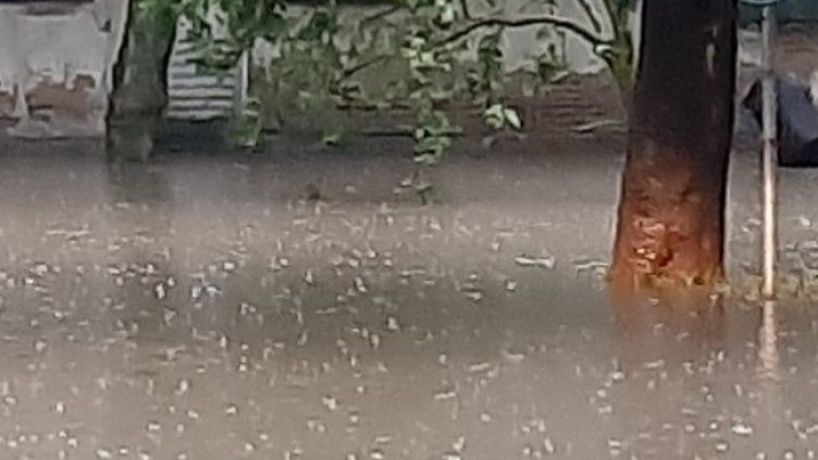 Снимка: архив, БГНЕС