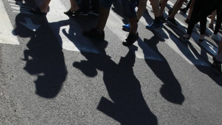 Снимка: архив, БГНЕС