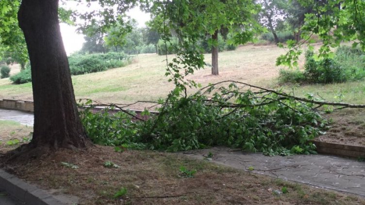 Снимка: БГНЕС