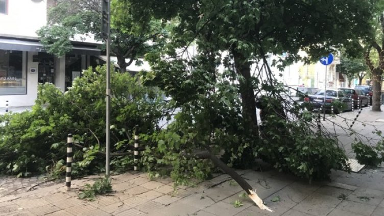 Снимка: БГНЕС