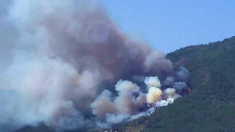 Снимка: Twitter